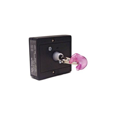 Lite-isserie Battery Operated Turning Motor with 9V Battery