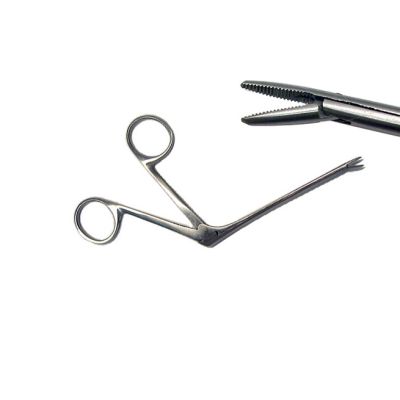 Stainless Steel Forceps, 7mm
